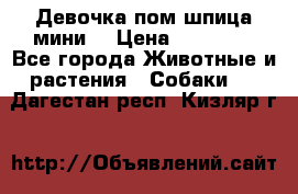 Девочка пом шпица мини  › Цена ­ 30 000 - Все города Животные и растения » Собаки   . Дагестан респ.,Кизляр г.